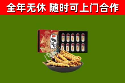 团风烟酒回收冬虫夏草礼盒.jpg