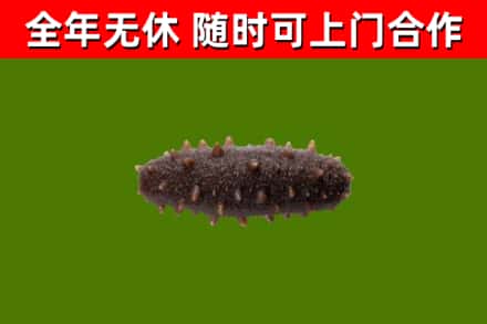 团风烟酒回收干海参.jpg