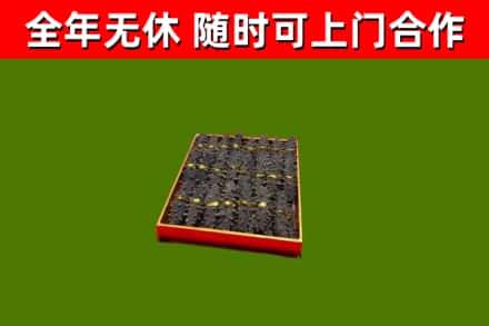 团风烟酒回收海参.jpg